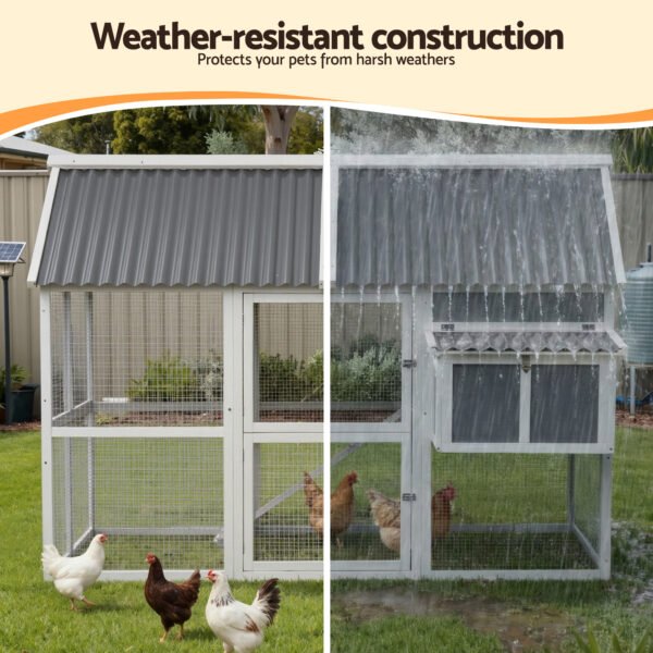 PET-CH-P213-GR-AB-202512091632-04.jpg Chicken Coop, Rabbit Hutch, Chook House with Run 213cm X 176cm X 152cm