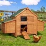 i.Pet Chicken Coop Rabbit Hutch 150cm x 68cm x 96cm Large Chicken Coop House Run Cage Wooden